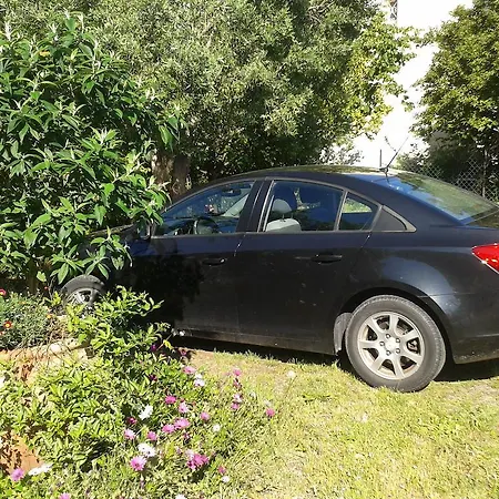 Aux Amandiers Frühstückspension